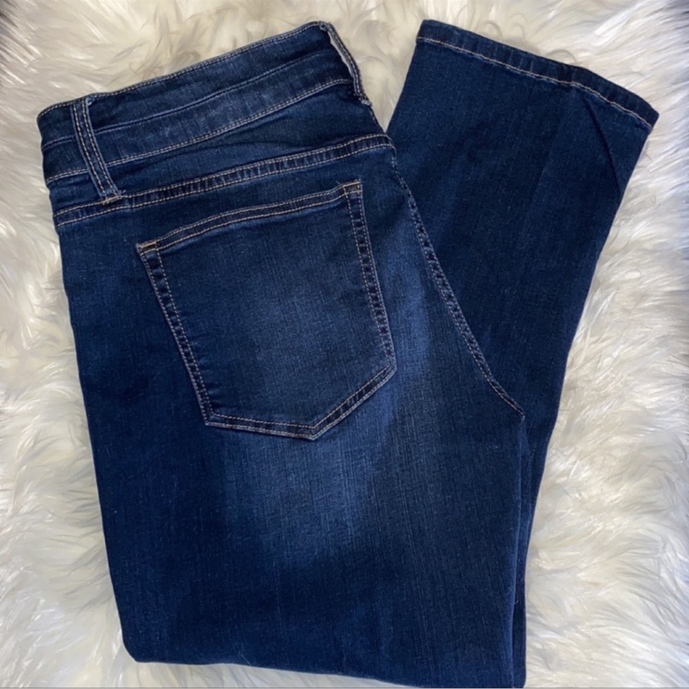 Daytrip Refined Lynx Stretch Cropped Jean - Picture 3 of 6